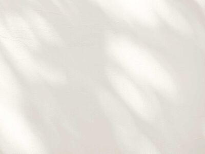 AdobeStock_1543888342